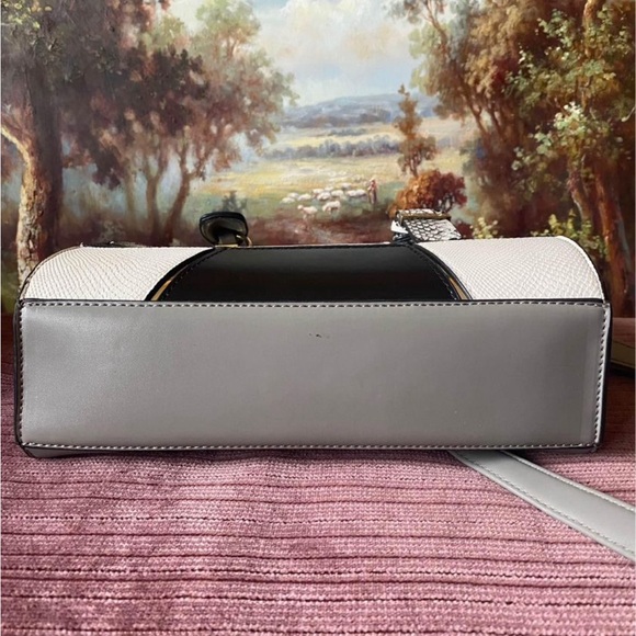 π¨π¦π¨π¦π¨π¦BNWOT Sally Young Colorblock Crossbody / Handbag π¨π¦π¨π¦π¨π¦ - Picture 4 of 5